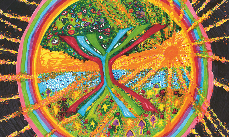 BaBa ZuLa - XXX portada del disco. Estilo psicodelico.