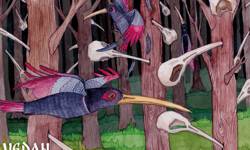 Portada del album Birds (pájaros) de Vedan Kolod. Ilustración con pájaros de colores azul, rojo y morado, volando en un bosque. También hay esqueletos de cabezas de aves flotando.