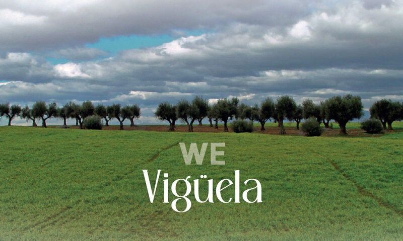 Vigüela – We, portada del disco. Una pradera con árboles en el fondo.