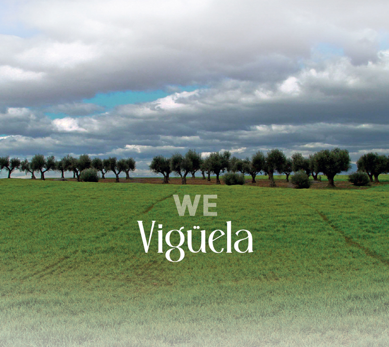 Vigüela – We, portada del disco. Una pradera con árboles en el fondo.